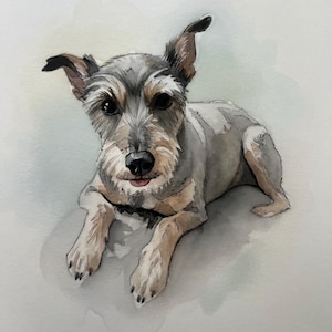 Individuelles Aquarell-Haustierporträt, Hundeporträt nach Foto, personalisiertes Erinnerungsgeschenk für Hunde im Rahmen, Haustiergemälde Bild 11