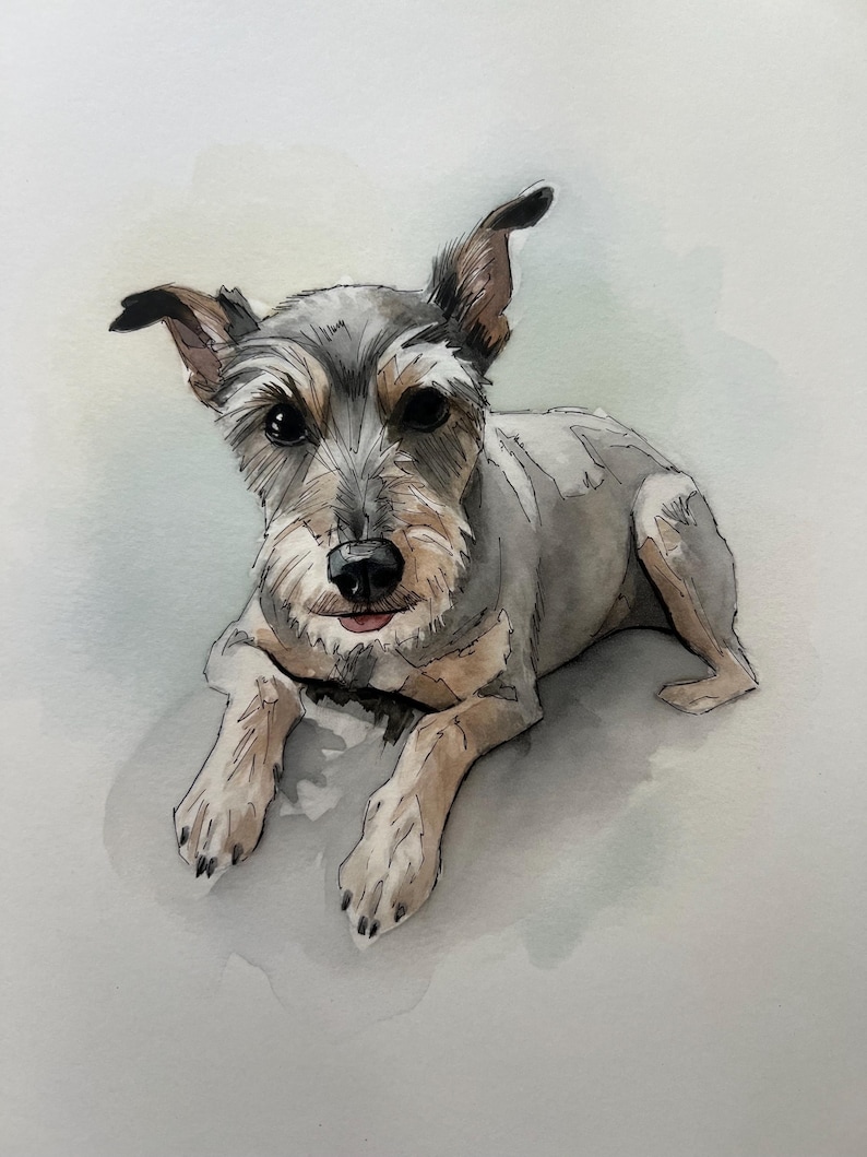 Individuelles Aquarell-Haustierporträt, Hundeporträt nach Foto, personalisiertes Erinnerungsgeschenk für Hunde im Rahmen, Haustiergemälde Bild 11