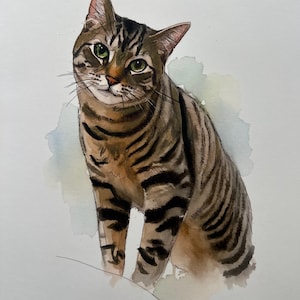 Individuelles Aquarell-Haustierporträt, Hundeporträt nach Foto, personalisiertes Erinnerungsgeschenk für Hunde im Rahmen, Haustiergemälde Bild 12