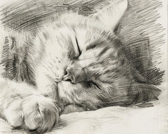 Cat Portrait, Custom Portrait of Cat, Custom Pencil Portrait of Cat, Portrait of Cat, Drawing of Cat