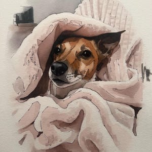 Individuelles Aquarell-Haustierporträt, Hundeporträt nach Foto, personalisiertes Erinnerungsgeschenk für Hunde im Rahmen, Haustiergemälde Bild 18