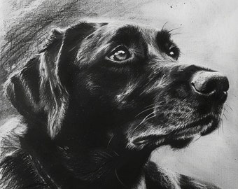 Kohle-Hundeportrait, individuelles Hundeportrait, individuelles Kohlehaustier, Hundeportrait, Hundezeichnung