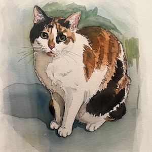 Individuelles Aquarell-Haustierporträt, Hundeporträt nach Foto, personalisiertes Erinnerungsgeschenk für Hunde im Rahmen, Haustiergemälde Bild 17