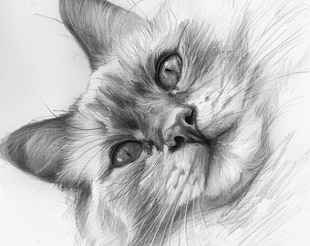 Cat Portrait, Custom Portrait of Cat, Custom Pencil Portrait of Cat, Portrait of Cat, Drawing of Cat