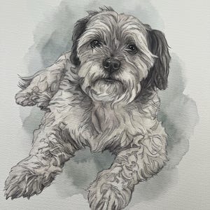 Puede incluir: Una ilustraci&oacute;n en acuarela en blanco y negro de un perro peque&ntilde;o de pelo desgre&ntilde;ado, con orejas ca&iacute;das y un pelaje texturizado. El perro aparece en posici&oacute;n de descanso, mirando hacia adelante con ojos oscuros y una nariz detallada sobre un fondo gris.