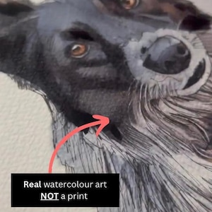 Individuelles Aquarell-Haustierporträt, Hundeporträt nach Foto, personalisiertes Erinnerungsgeschenk für Hunde im Rahmen, Haustiergemälde Bild 6