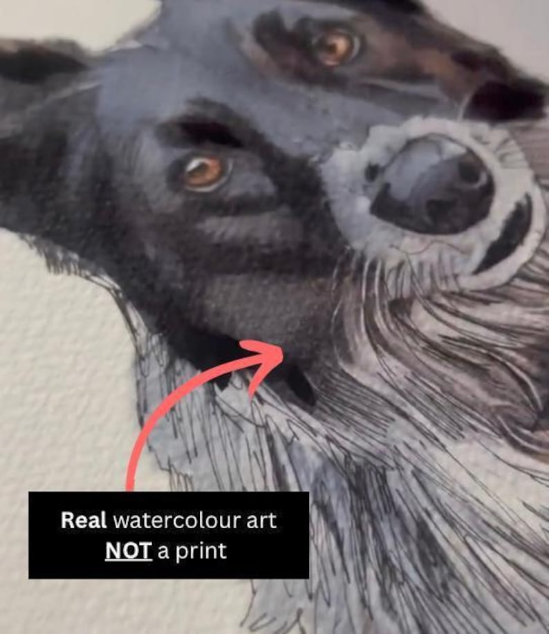 Individuelles Aquarell-Haustierporträt, Hundeporträt nach Foto, personalisiertes Erinnerungsgeschenk für Hunde im Rahmen, Haustiergemälde Bild 6