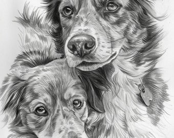 Dog Portrait, Custom Portrait of Dog, Custom Pencil Portrait of Dog, Portrait of Dog, Drawing of Dog