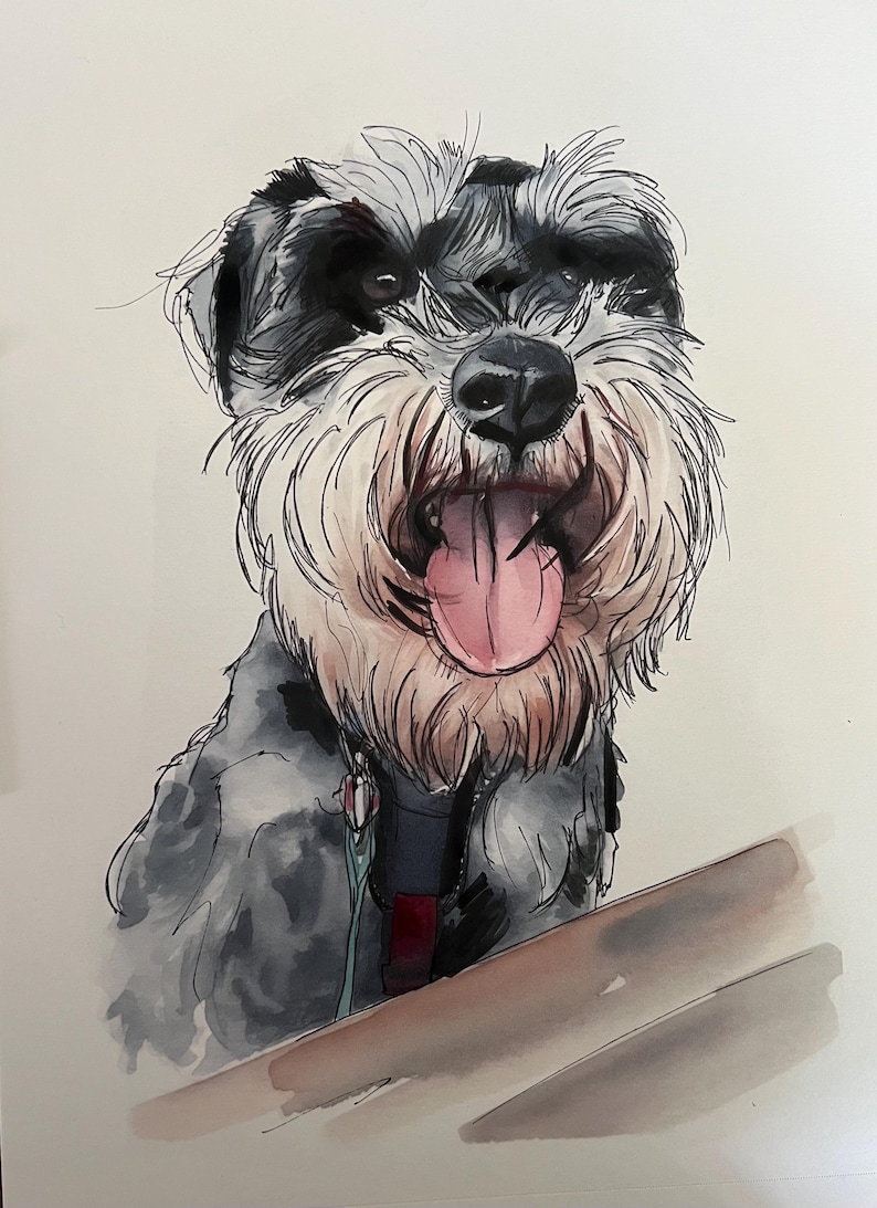 Individuelles Aquarell-Haustierporträt, Hundeporträt nach Foto, personalisiertes Erinnerungsgeschenk für Hunde im Rahmen, Haustiergemälde Bild 16