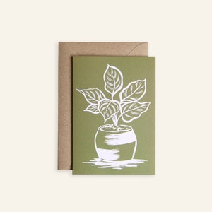 Carte plante vert olive - Calathea, carte vierge de plante d'intérieur botanique, carte pour amateur de plantes