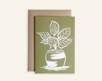 Olive Green Plant Card - Calathea