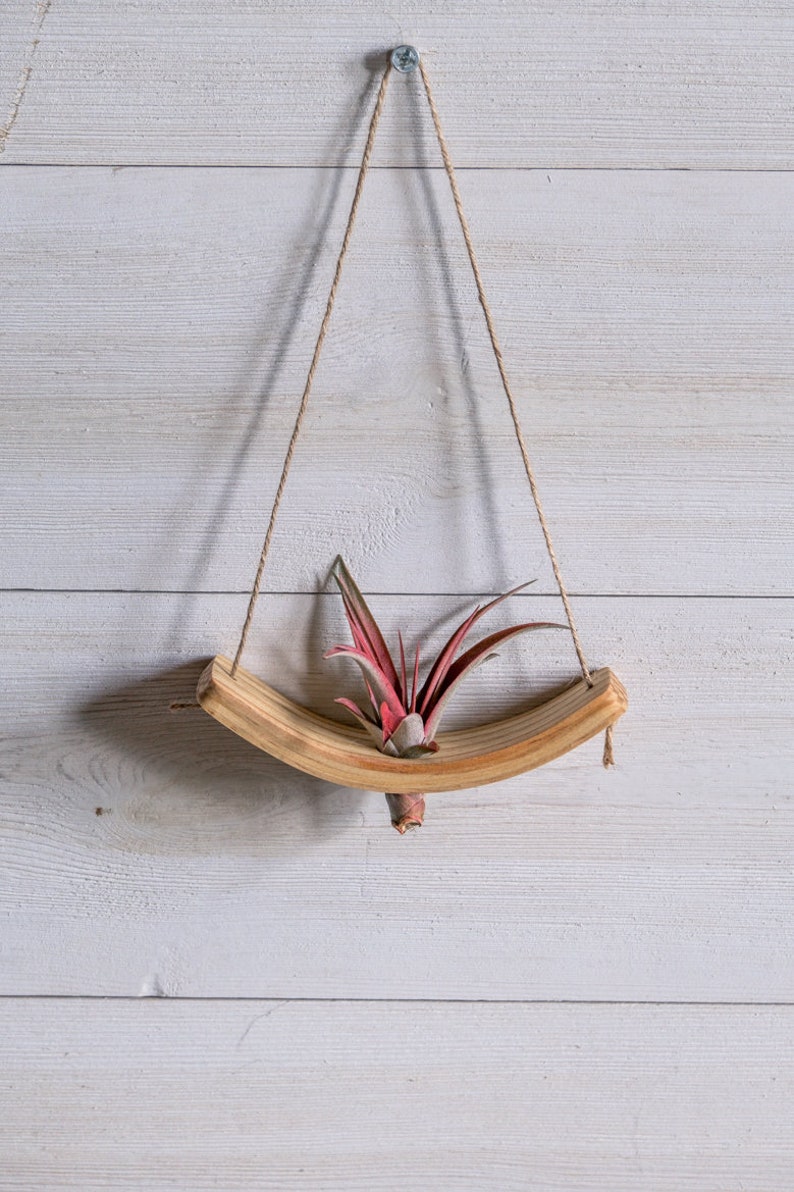 Mini U-Bend Air Plant Wall Hanger, Air Plant Display, Mini Wave, Air Plant Hanger, Mini Plant Hanger, Hanging Wall Planter image 2