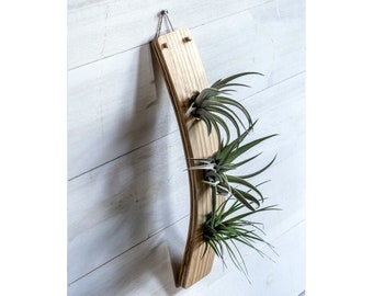 Large Vertical Air Plant Holder, Air Plant Display, Wall Decor, Air Plant Hanger, Minimalist Decor, Hanging Wall Planter, Vertical Planter