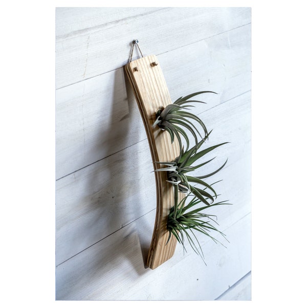 Large Vertical Air Plant Holder, Air Plant Display, Wall Decor, Air Plant Hanger, Minimalist Decor, Hanging Wall Planter, Vertical Planter