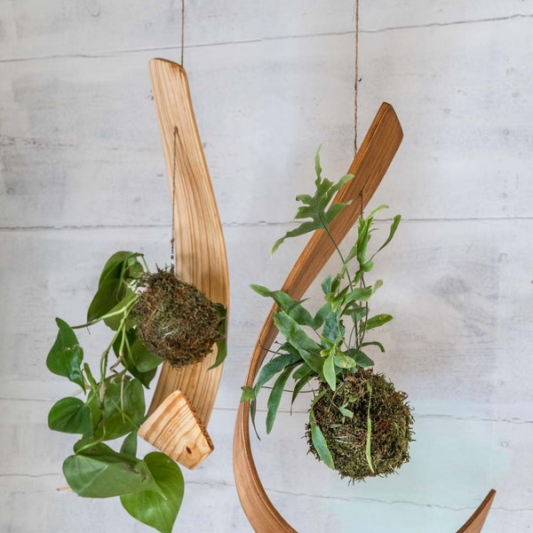 Kokedama Bonsai Ball Hook, indoor hanging planter, modern plant display, living room decor, home decor living room, hangng plant hook,