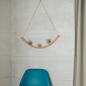 U bend wave air plant hanger, Air Plant Hanger, Bent Wood Air Plant Display, Air Plant Wall Hanging, Hanging Wall Planter, Wall Display