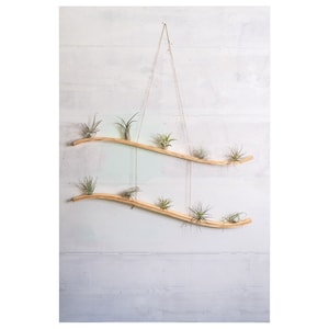 Large Double Wave Air Plant Hanger, Air Plant Holder, Air Plant Display, Boho Wall Hanging, Hanging Planter Indoor, Geometric Plant Hanger
