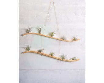Large Double Wave Air Plant Hanger, Air Plant Holder, Air Plant Display, Boho Wall Hanging, Hanging Planter Indoor, Geometric Plant Hanger