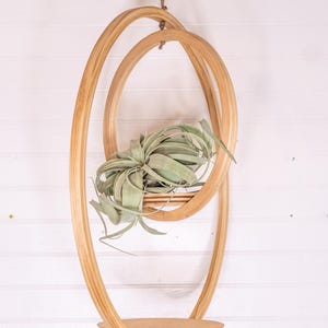 May include: A hanging wooden air plant holder with a natural finish. The holder features two oval-shaped frames and a round shelf, suspended by a rope. A green air plant is nestled inside the upper frame, creating a modern, minimalist aesthetic.