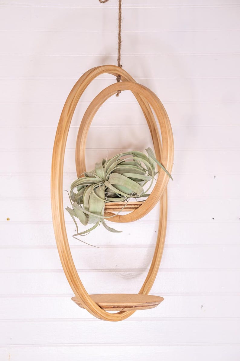 May include: A hanging wooden air plant holder with a natural finish. The holder features two oval-shaped frames and a round shelf, suspended by a rope. A green air plant is nestled inside the upper frame, creating a modern, minimalist aesthetic.