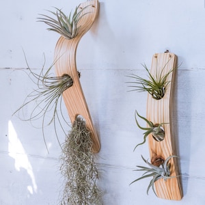 Große vertikale Luftpflanzenanzeige kombiniert, Luftpflanzenwand, Luftpflanzenhalterwand, Luftpflanzenaufhänger, Minimalist, Boho, hängender Wandpflanzer