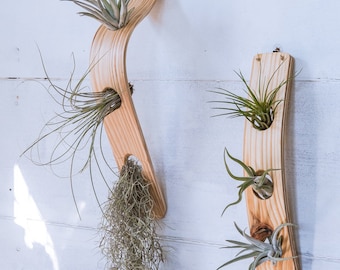 Large Vertical Air Plant Display combo, Air Plant Wall , Air Plant Holder Wall, Air Plant Hanger, Minimalist, Boho, Hanging Wall Planter