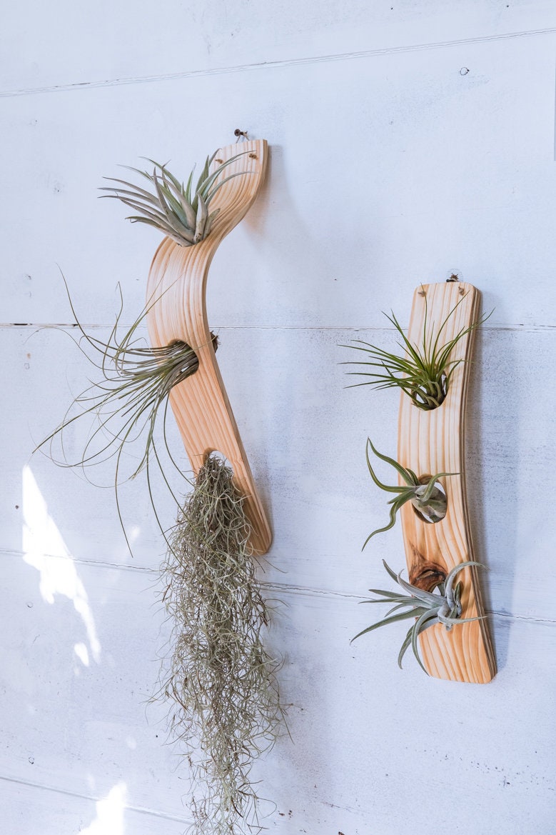 Hanging Planter - Textured Air Plant Display - 3 Platforms with Braided  Copper Cord — Turow Ceramics