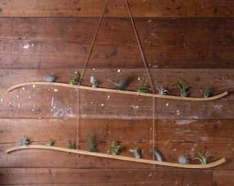 XLarge Double Wave Air Plant Hanger, Air Plant Holder, Air Plant Display, Boho Wall Hanging, Hanging Planter Indoor, Geometric Plant Hanger
