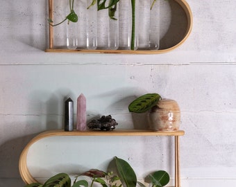 Estación de propagación con tubos, soporte de propagación para montaje en pared, soporte hidropónico para colgar tubos de ensayo, regalo para amantes de las plantas