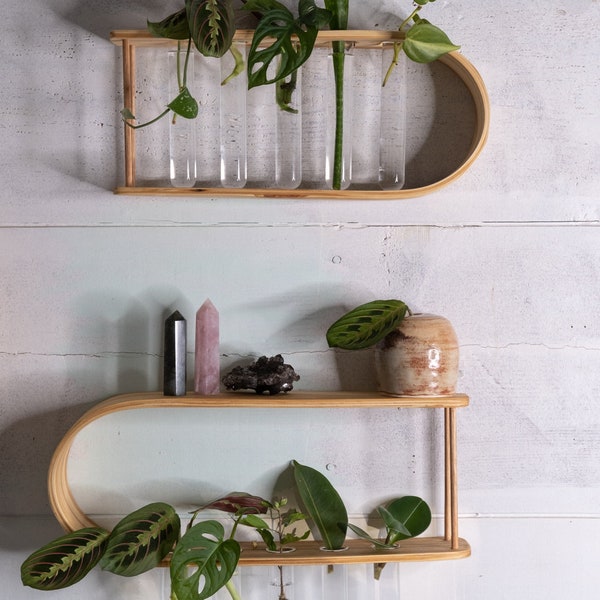 Propagation Station with Tubes, Wall Mounted Propagation, Hanging Test Tube Hydroponic Holder, Plant lover gift