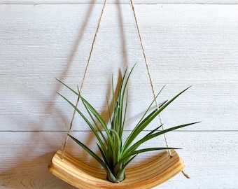 Mini U-Bend Air Plant Wall Hanger, Air Plant Display, Mini Wave, Air Plant Hanger, Mini Plant Hanger, Hanging Wall Planter