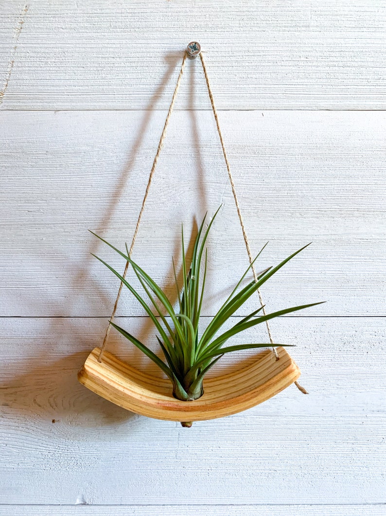 Mini U-Bend Air Plant Wall Hanger, Air Plant Display, Mini Wave, Air Plant Hanger, Mini Plant Hanger, Hanging Wall Planter Hanger + 1 Air Plant