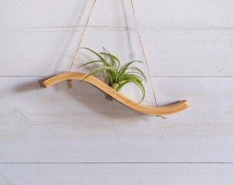 Mini Wave Air Plant Wall Hanger, Air Plant Display, Mini Wave, Air Plant Hanger, Mini Plant Hanger, Bent Wood, Hanging Wall Planter