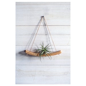 Medi U-Bend Air Plant Wall Hanger, Air Plant Display, Mini Wave, Air Plant Hanger, Mini Plant Hanger, Hanging Wall Planter