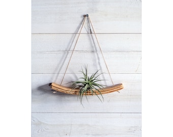 Medi U-Bend Air Plant Wall Hanger, Air Plant Display, Mini Wave, Air Plant Holder, Mini Planter, Hanging Wall Planter, Gift for plant lovers