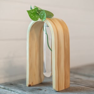 Propagation Vase with Tube, Table Top Propagation, Test Tube Hydroponic Holder, Plant lover gift