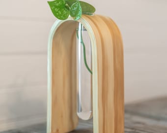 Jarrón de propagación con tubo, soporte de propagación de mesa, soporte hidropónico para tubos de ensayo, regalo para amantes de las plantas