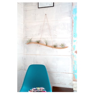 Large Wall Wave Air Plant Hanger, Air Plant Holder, Plant Display, Boho Decor, Indoor plant decor, Unique planters, Gift for plant lovers