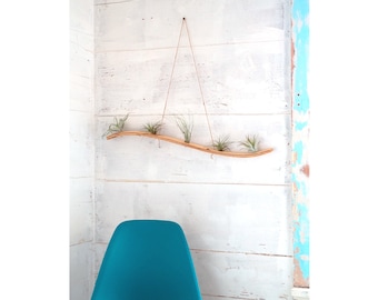 Large Wall Wave Air Plant Hanger, Air Plant Holder, Plant Display, Boho Decor, Indoor plant decor, Unique planters, Gift for plant lovers