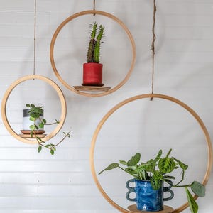 Kreis Holzpflanzen Aufhänger Bundle, Bubble Aufhänger, Pflanzer mit Untertasse, Luftpflanzen Aufhänger, Boho, Mid Century Modern Planter