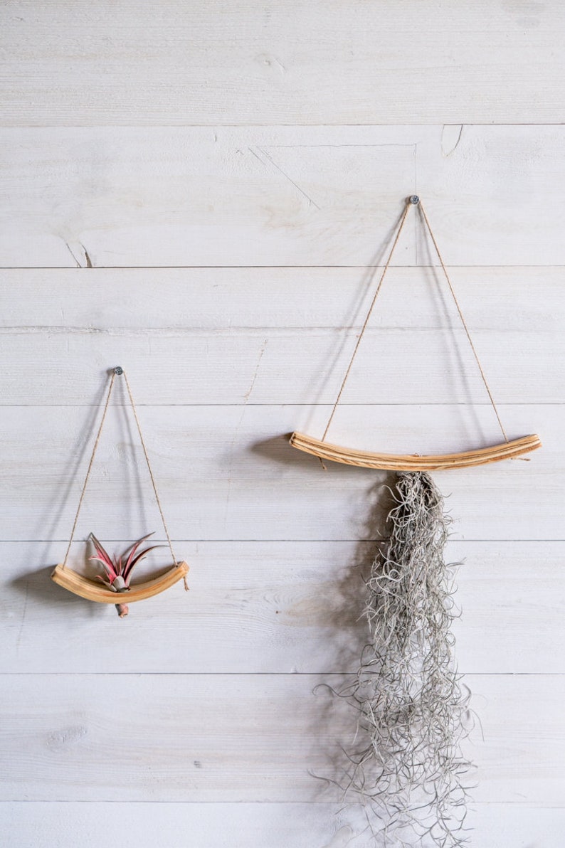 Mini U-Bend Air Plant Wall Hanger, Air Plant Display, Mini Wave, Air Plant Hanger, Mini Plant Hanger, Hanging Wall Planter image 4