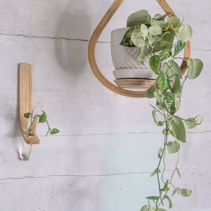 Propagation Planter Combo, propagation station, wall planter indoor, hanging planter indoor, Hanging planter, Plant holder, Plant lover gift