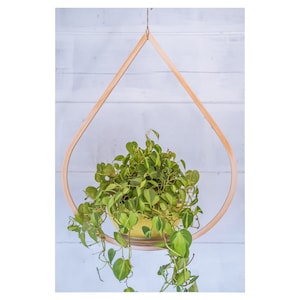 Großer hölzerner Pflanzenaufhänger, Tear Drop Planter, Pflanzer mit Untertasse, Air Planter Halter, Vintage Plant Display, hängender Tear Drop Planter