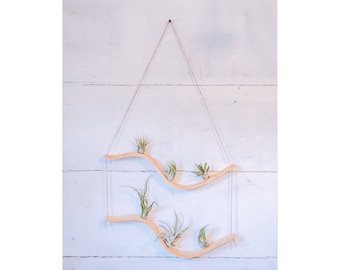 Double Wave Air Plant Hanger, Air Plant Display, Plant Hanger, Air Plant Holder, Air Plant Holder Wall ,Air Plant Wall Decor,Plant Display
