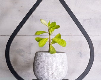 Medium Matte Black Plant Hanger, Tear Drop Hanger, Planter With Saucer, Air Plant Hanger, Boho, Mid Century Modern Planter