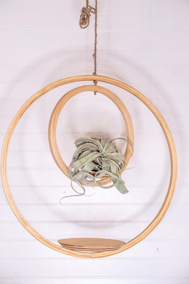 May include: A hanging wooden plant holder with a natural finish. The design features two concentric circular frames, with a small shelf at the bottom and a plant in the center. The plant has long, green leaves. The holder is suspended by a rope.
