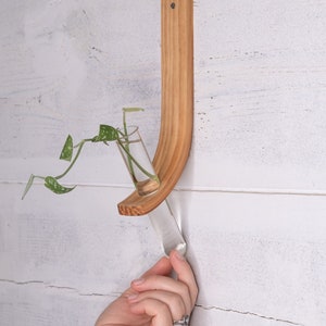 Single Propagation Station with Tube, Wall Mounted Propagation, Hydroponic Test Tube Holder, Plant Propagation