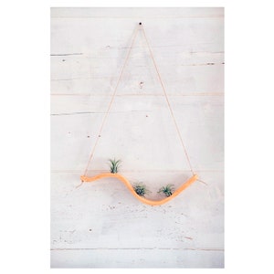 Small Wall Wave Air Plant Hanger, Air Plant Display, Boho Decor, Air Plant Holder, Indoor Plant Decor, Gift for plant lovers