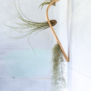 Waterfall Wave Vertical Air Plant Hanger, Air Plant Display, Large Wave, Air Plant Hanger, Large Air Plant Hanger, Hanging Wall Planter image 3