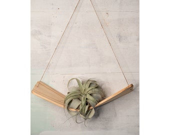 Large Xerographica air plant hammock hanger, Air Plant Holder, Air Plant Hanger, Plant Wall Hanging, Air Plant Display, Indoor Plant Shelf